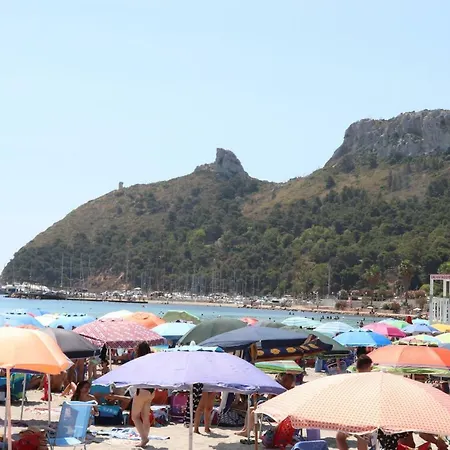 Vico Martini *